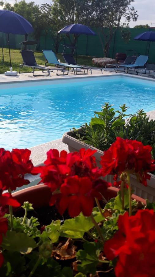 Holiday Home Dioniza Воднян Екстер'єр фото