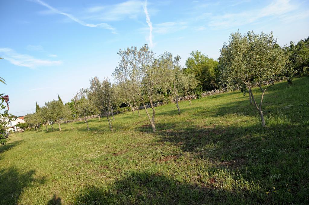 Holiday Home Dioniza Воднян Номер фото